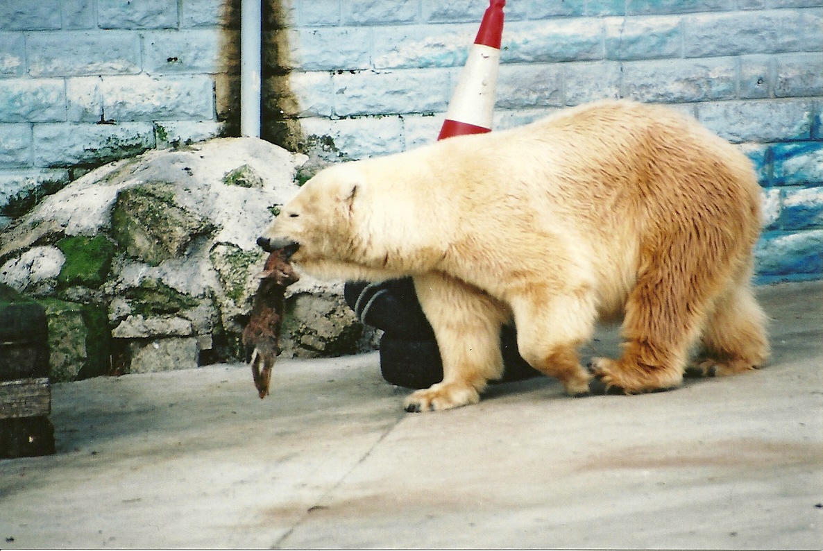 Mandy 23rd March 2002