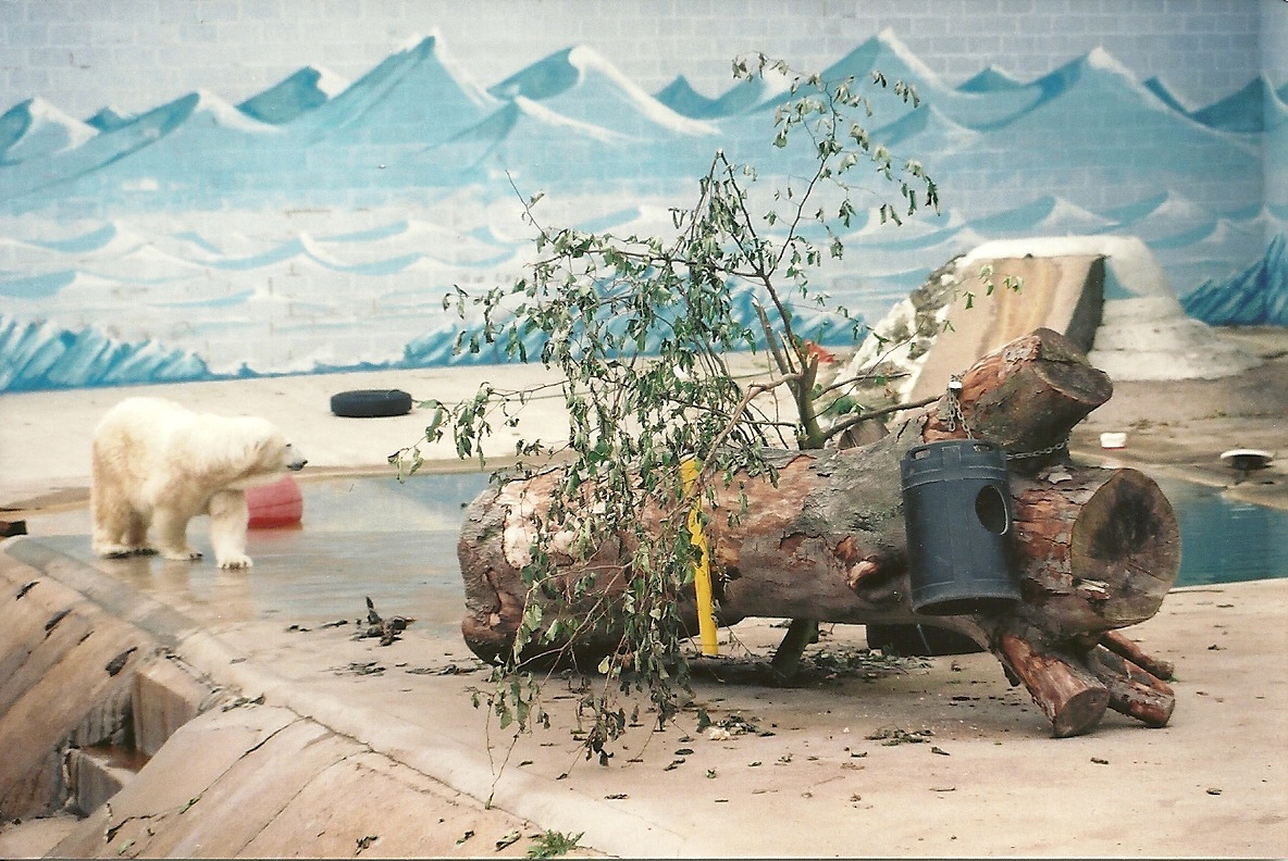 Mandy 24th August 2001