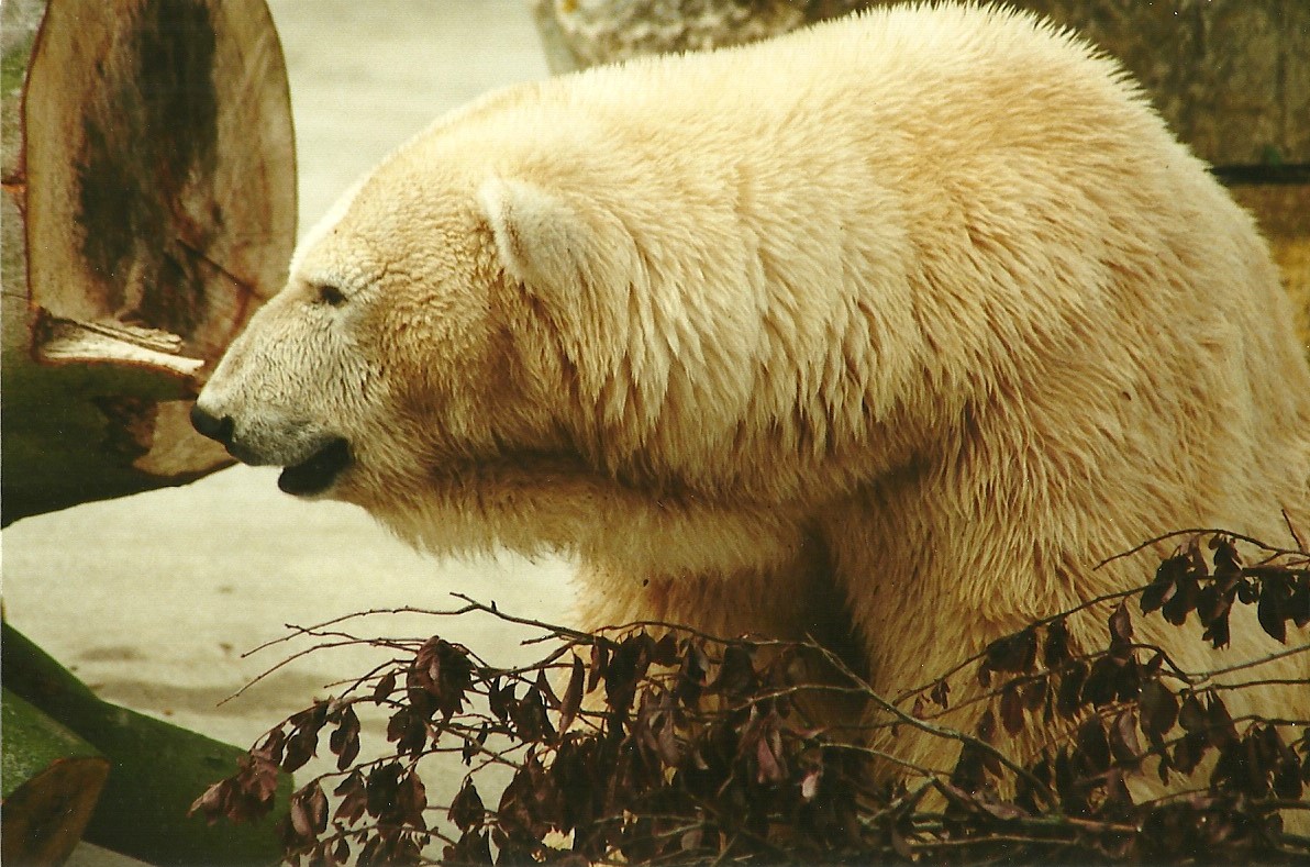 Mandy 29th April 2000