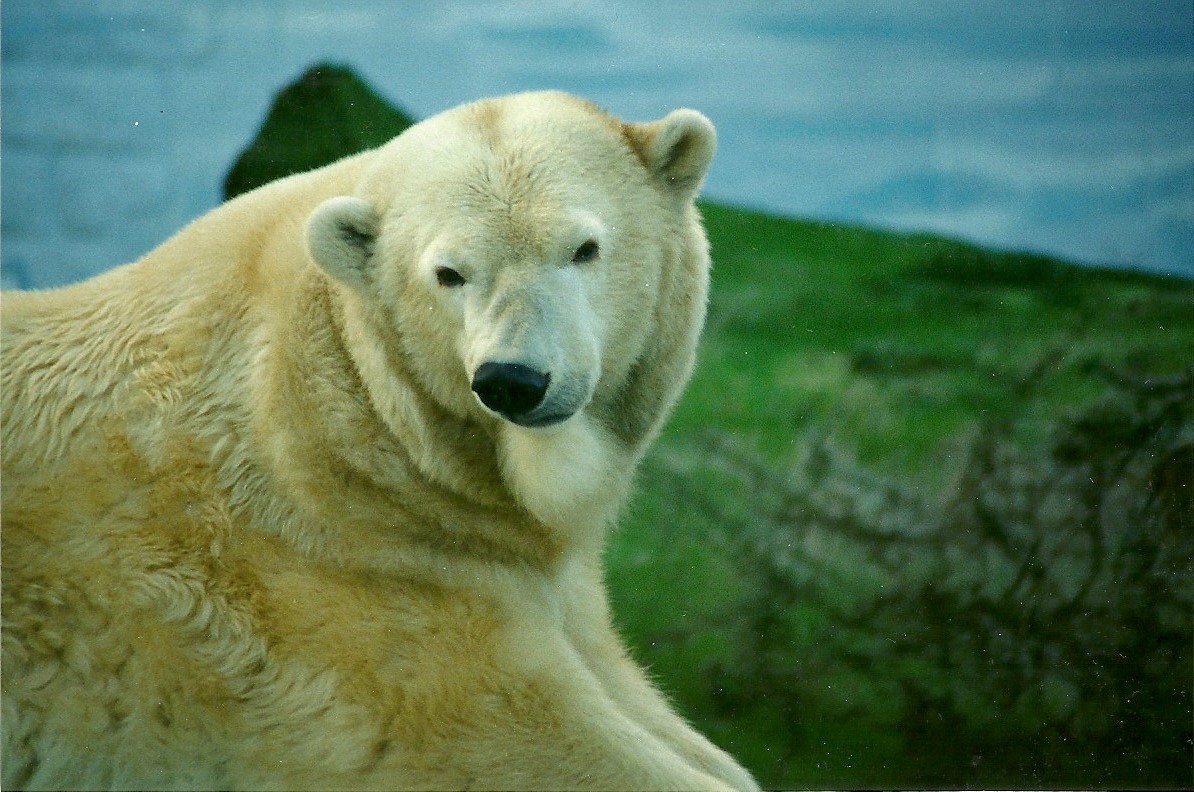 Mandy 29th January 2000