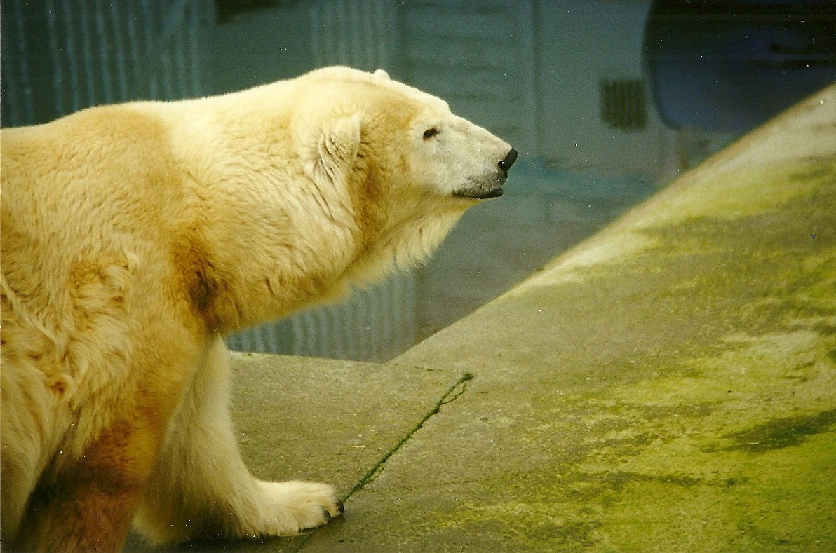 Mandy 6th February 1999