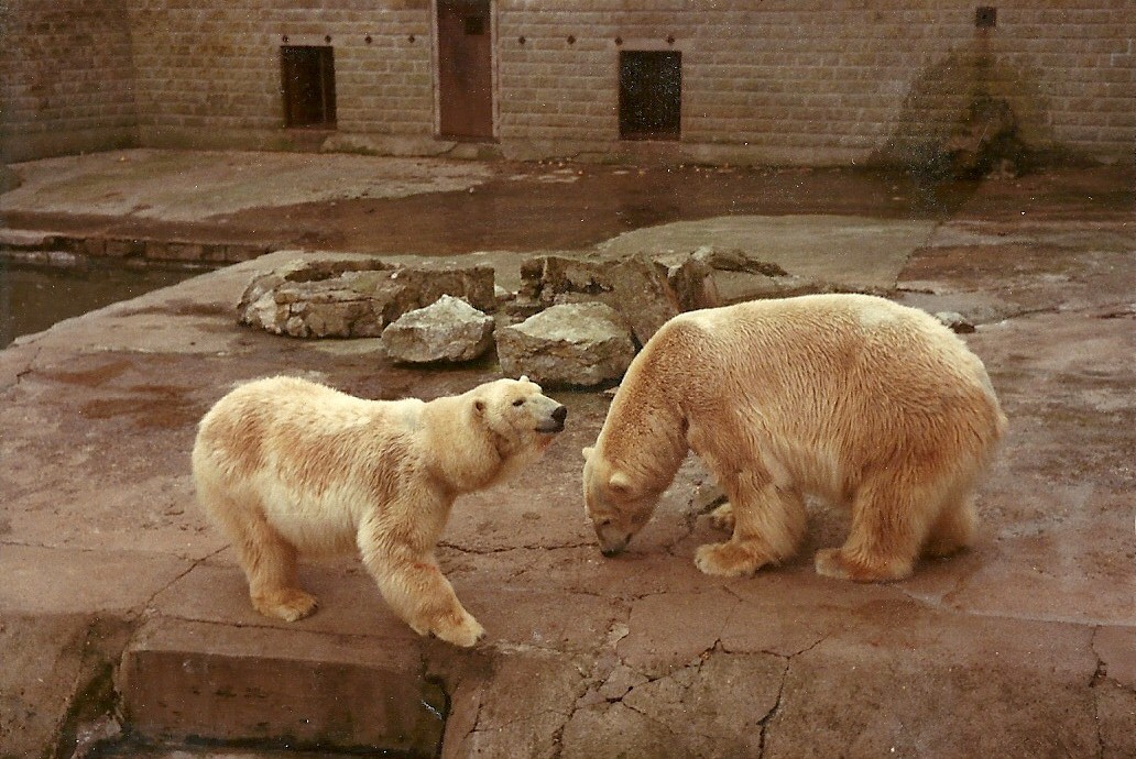 Mandy and Marcus circa 1981