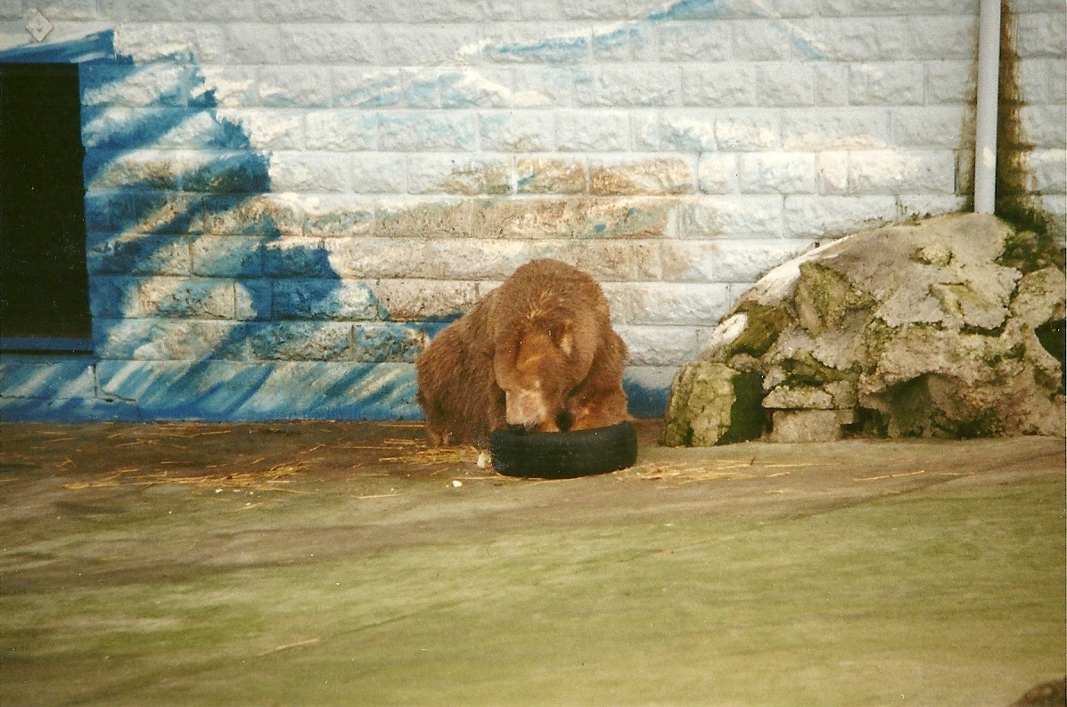 Mandy fresh from her digging pit 20th February 1999