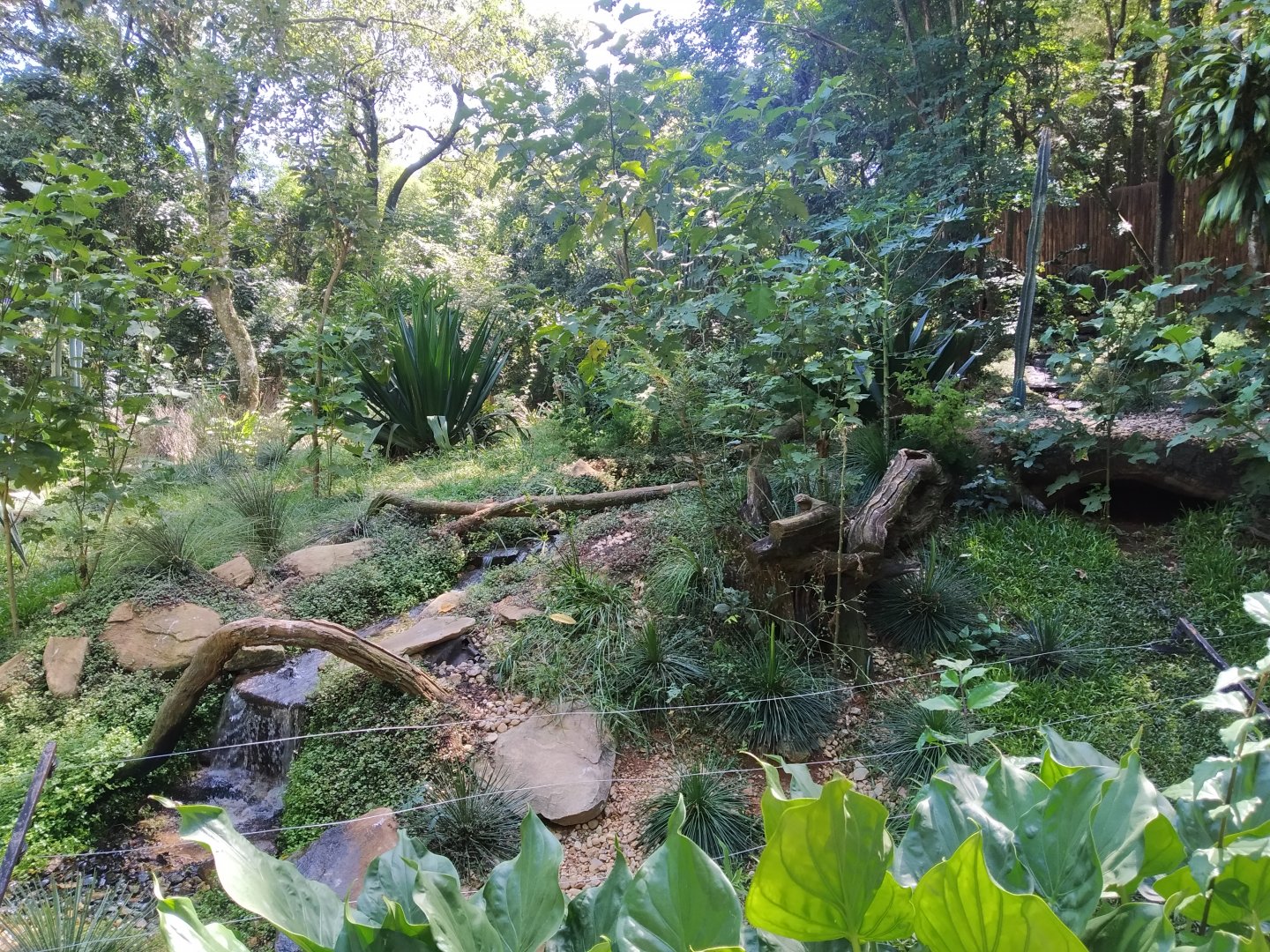 Maned wold Enclosure