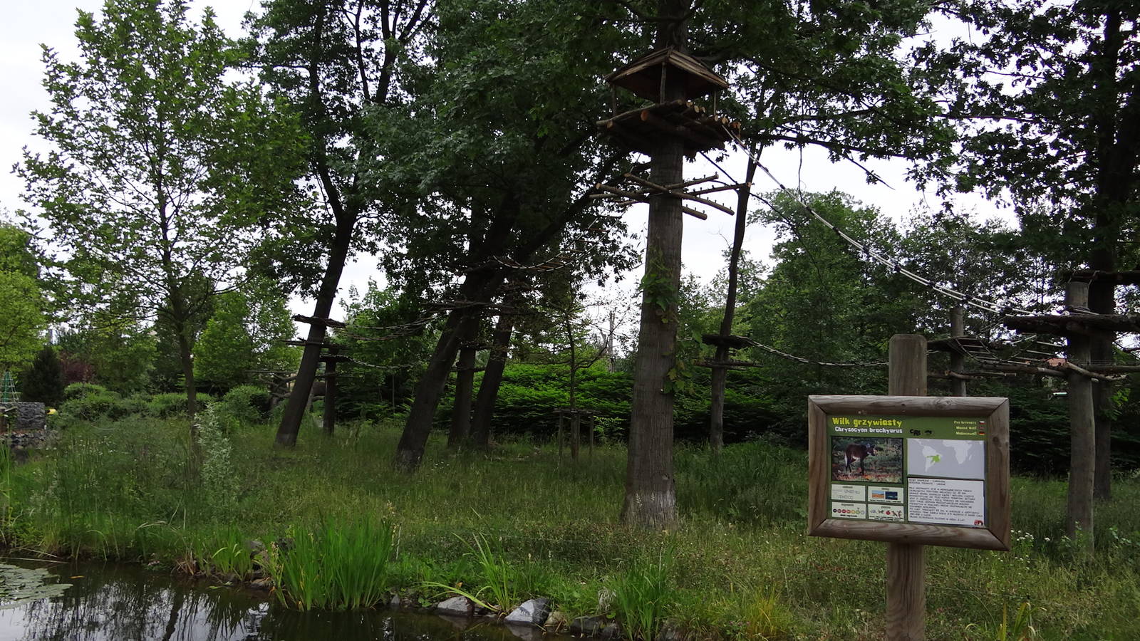 Maned Wolf and Black Howler enclosure