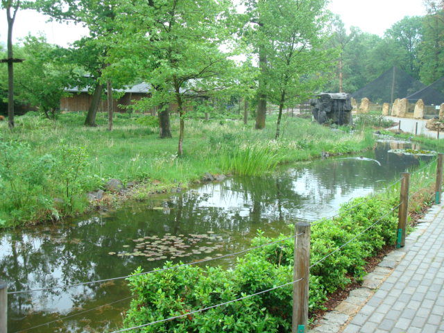 Maned wolf and capuchin enclosure