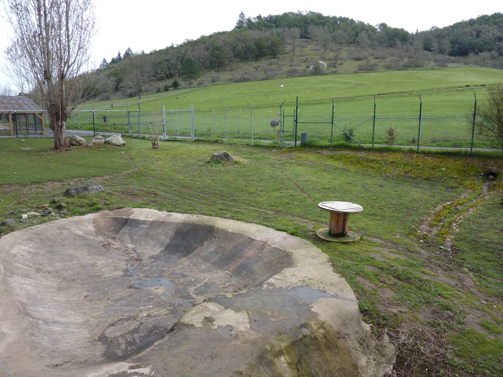 Maned Wolf/Capybara Exhibit