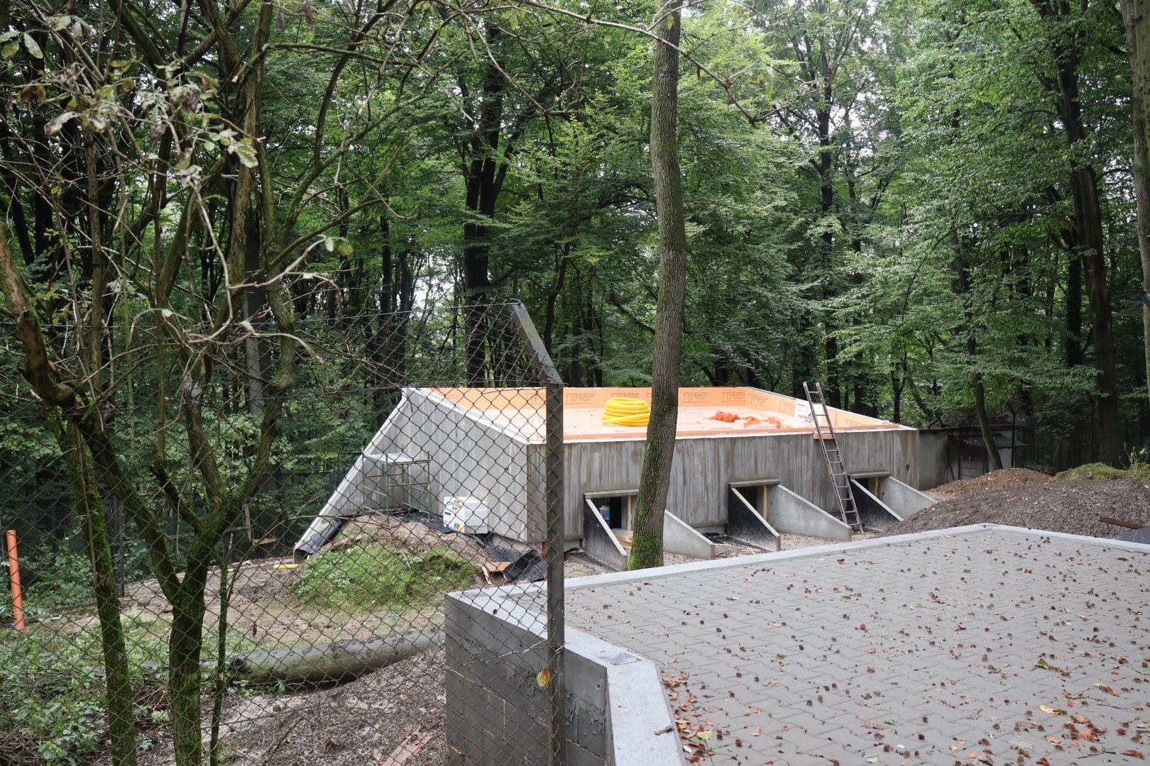 Maned Wolf construction site
