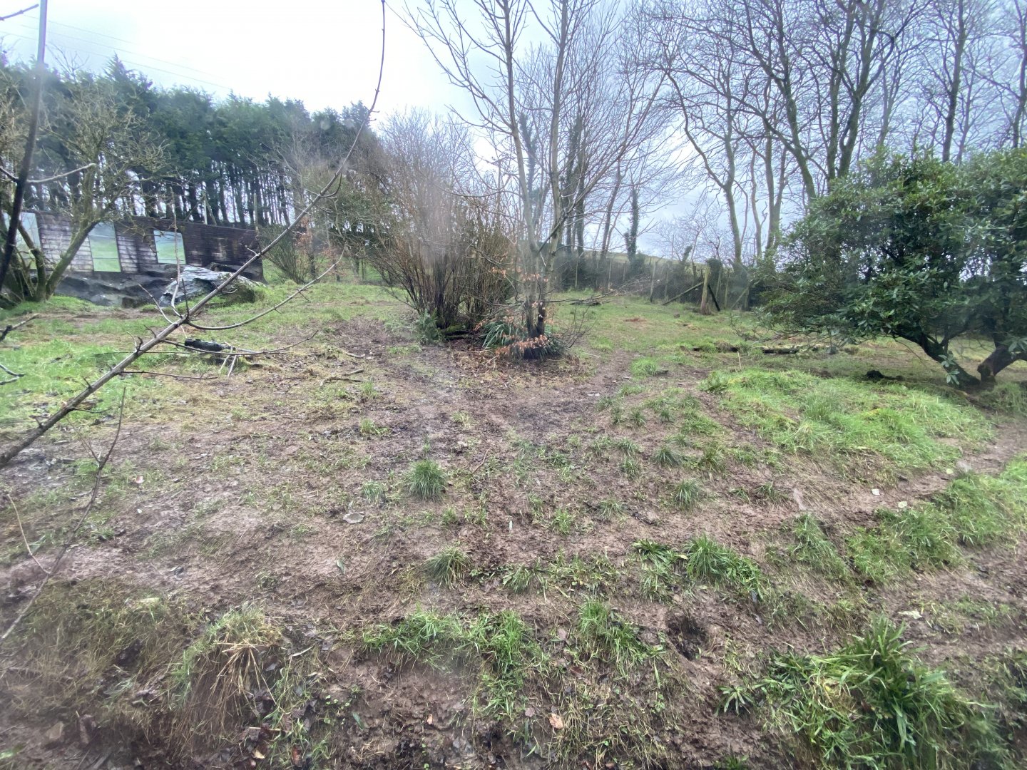 Maned wolf enclosure 160122