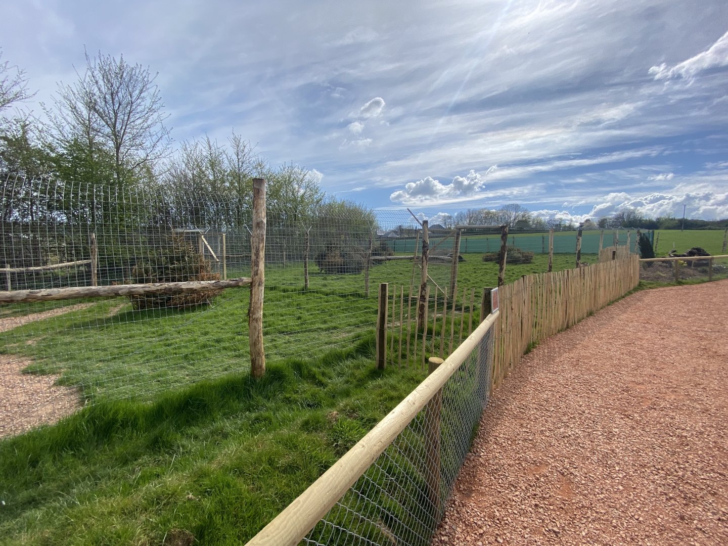 Maned wolf enclosure 190422
