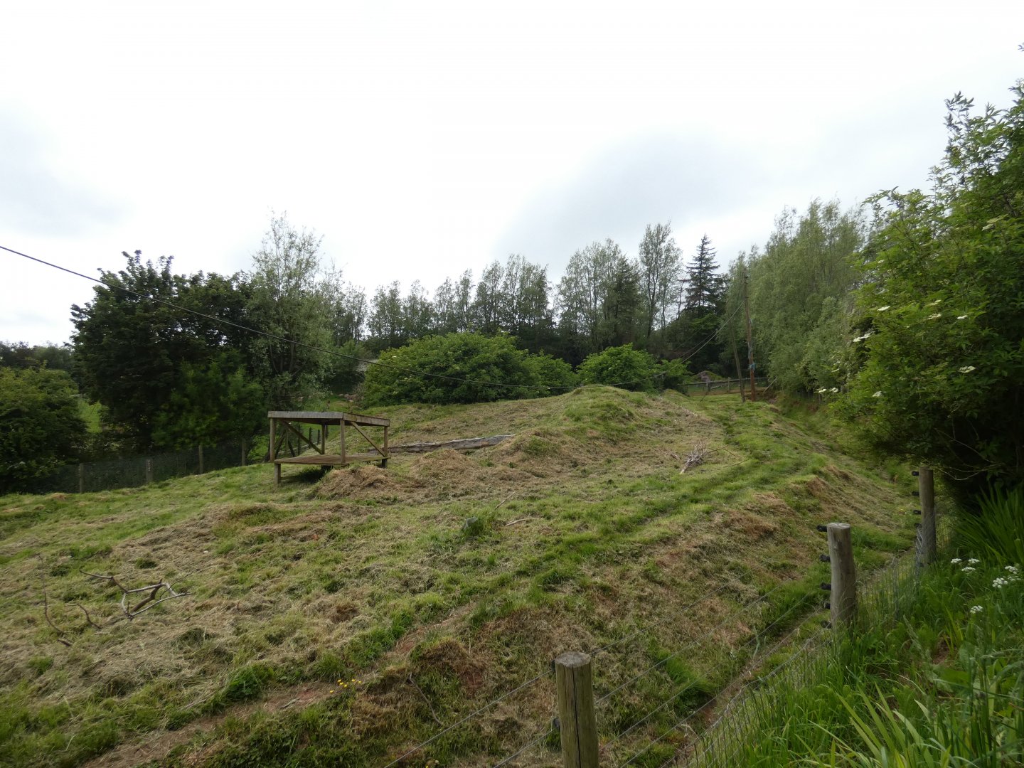 Maned wolf enclosure (2)