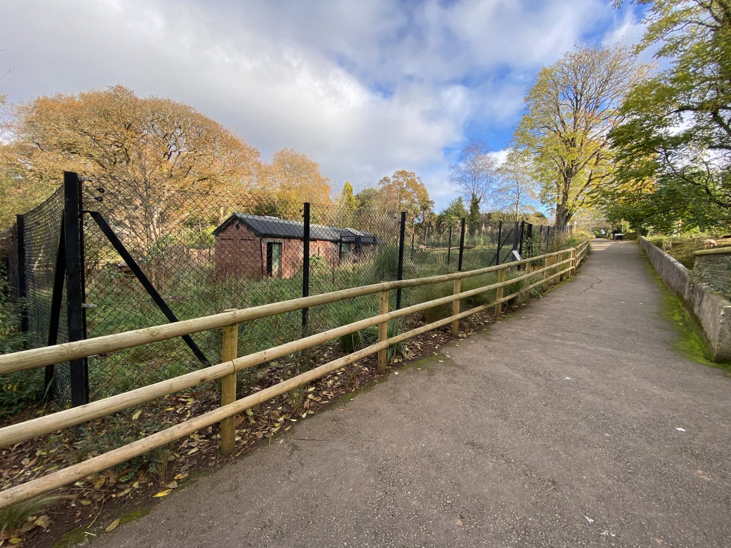 Maned wolf enclosure 201121