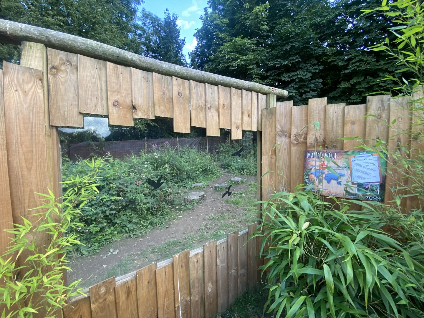 Maned wolf enclosure 290723