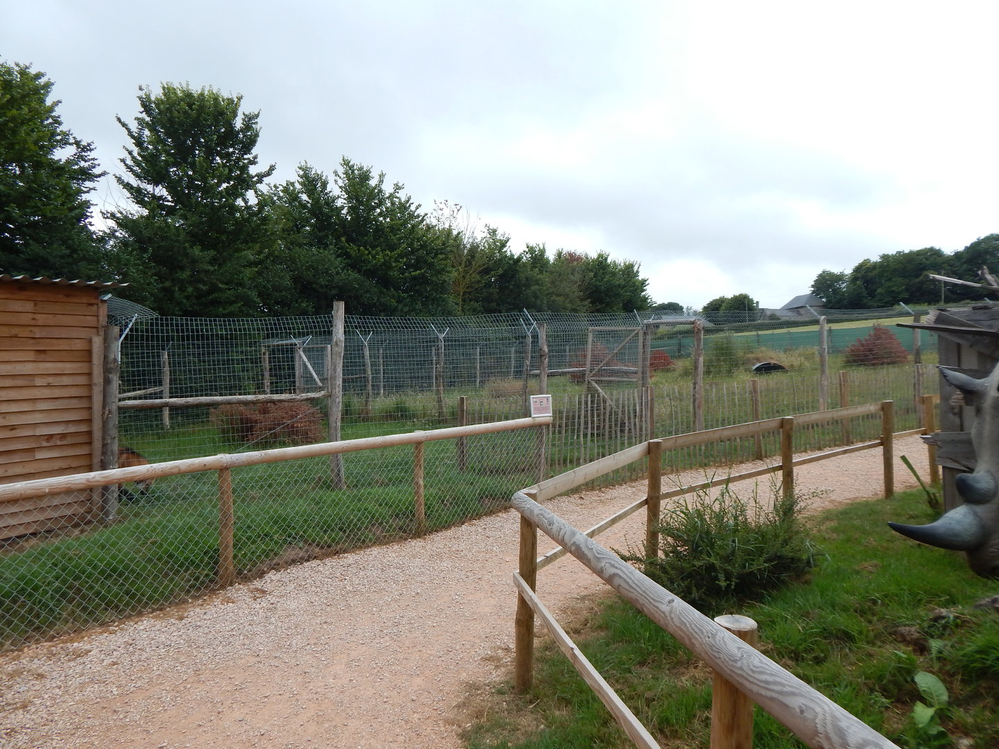 Maned wolf enclosure 300623