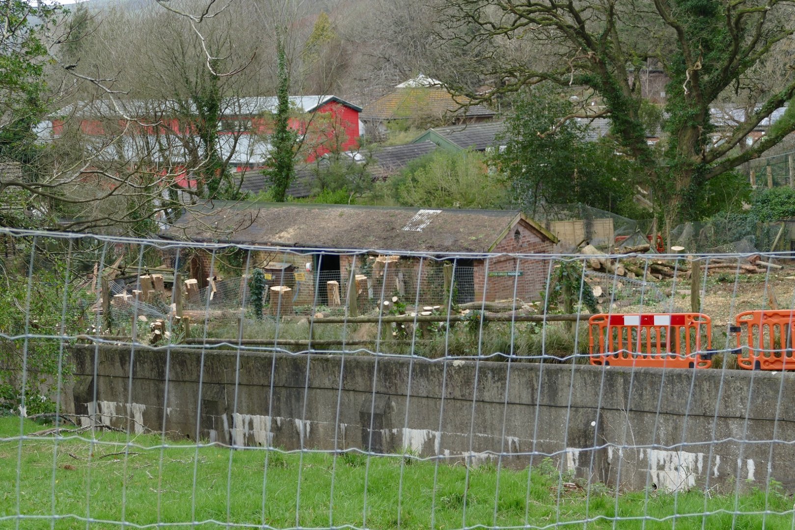 Maned wolf enclosure again, February 2020