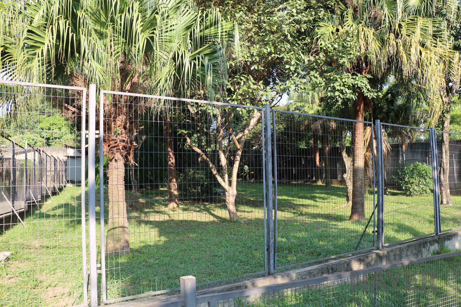 Maned wolf enclosure, April 2016