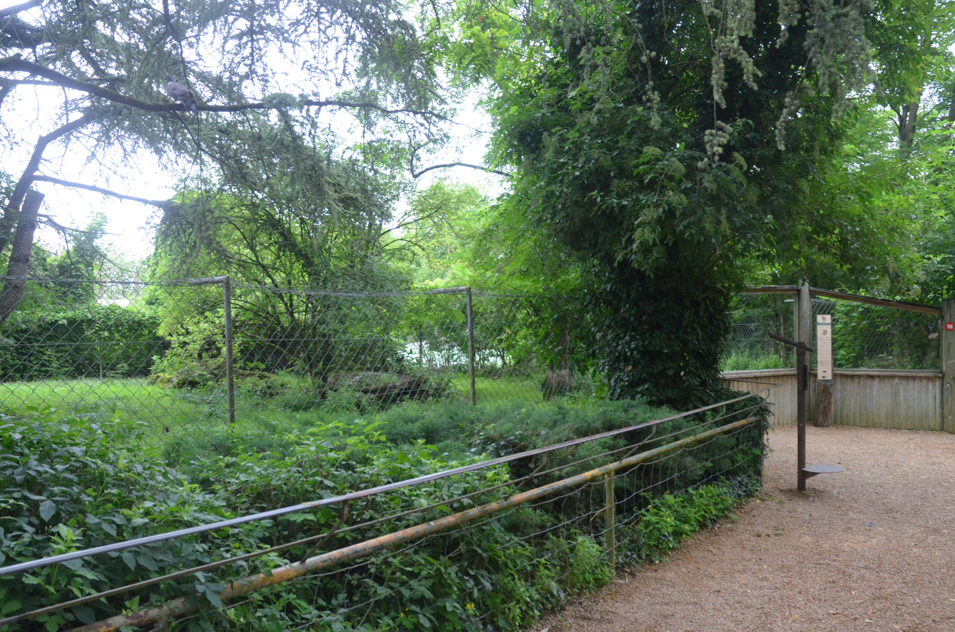 Maned Wolf Enclosure at Doué-la-Fontaine, 15/06/18