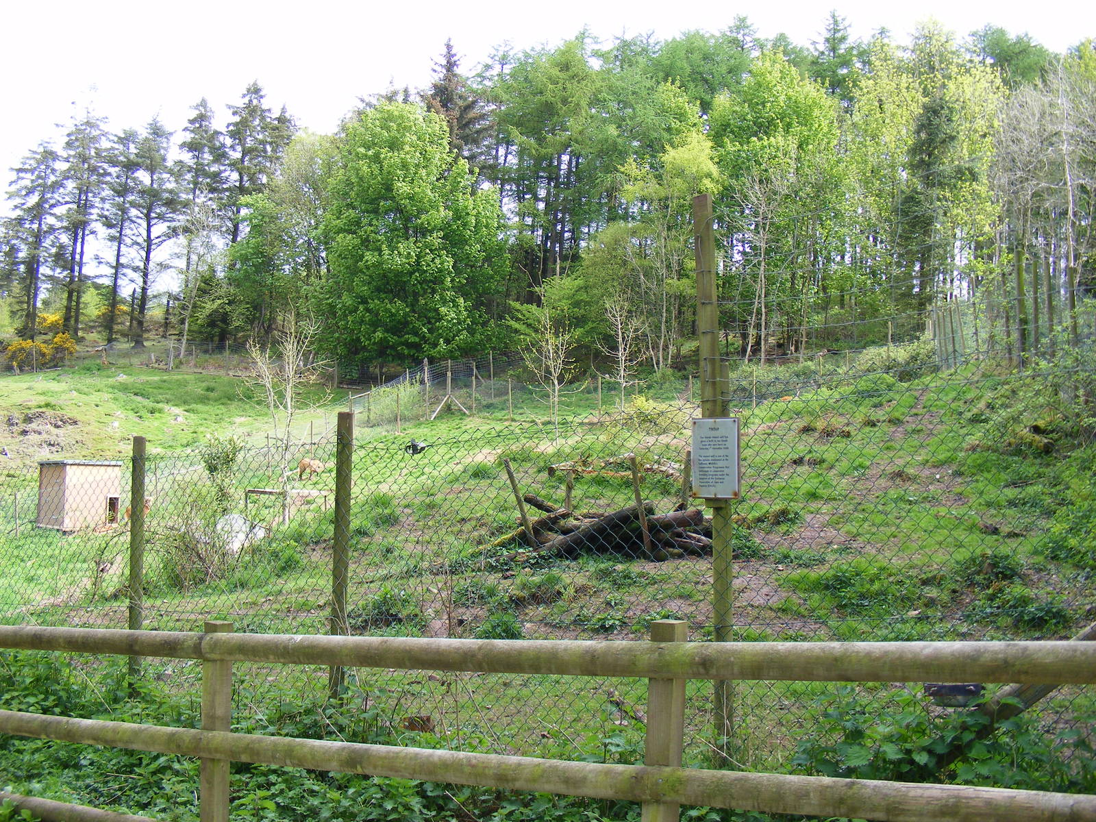 Maned wolf enclosure at Galloway Wildlife Conservation Park, 16 May 2010