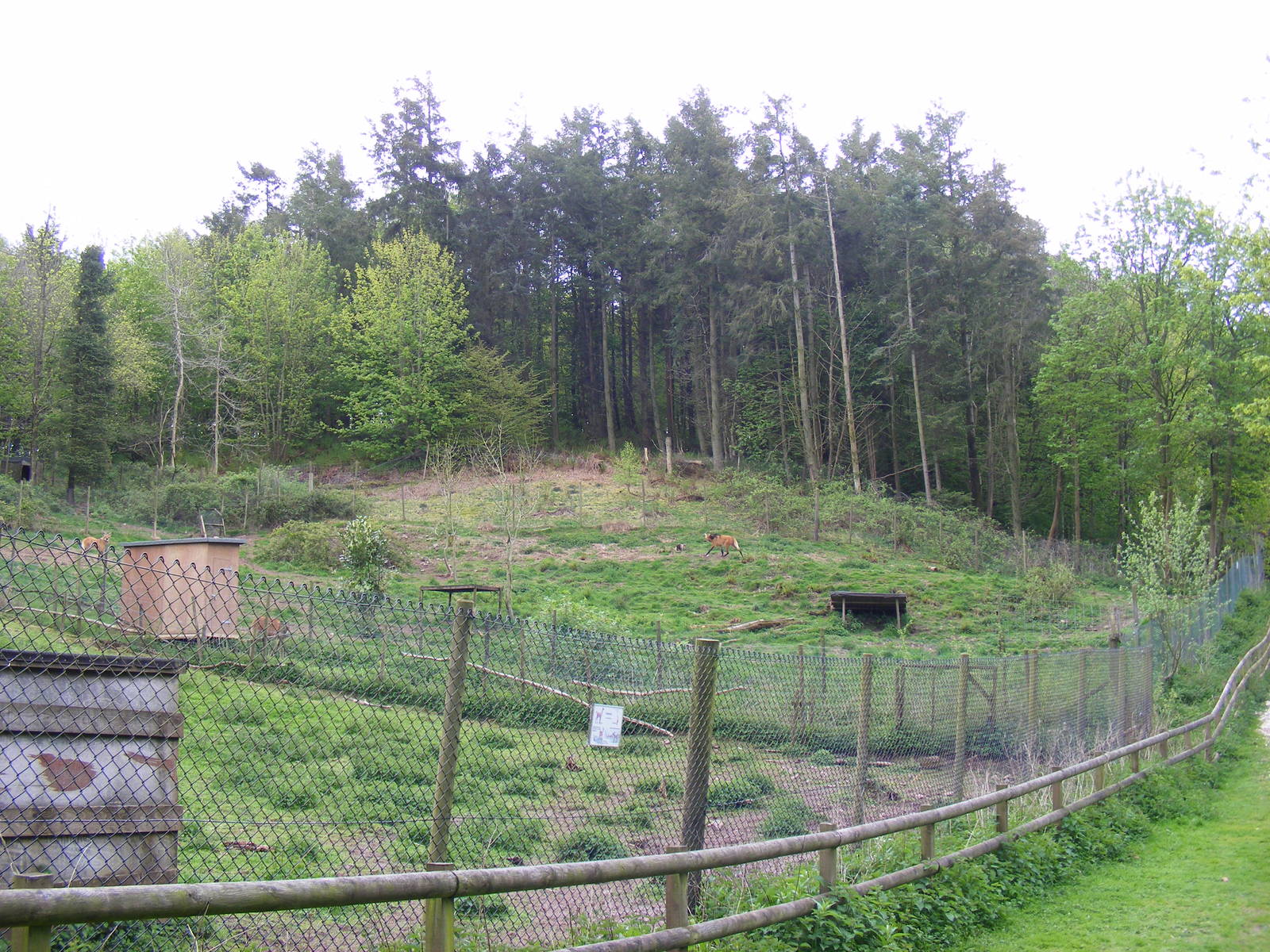 Maned wolf enclosure at Galloway Wildlife Conservation Park, 16 May 2010