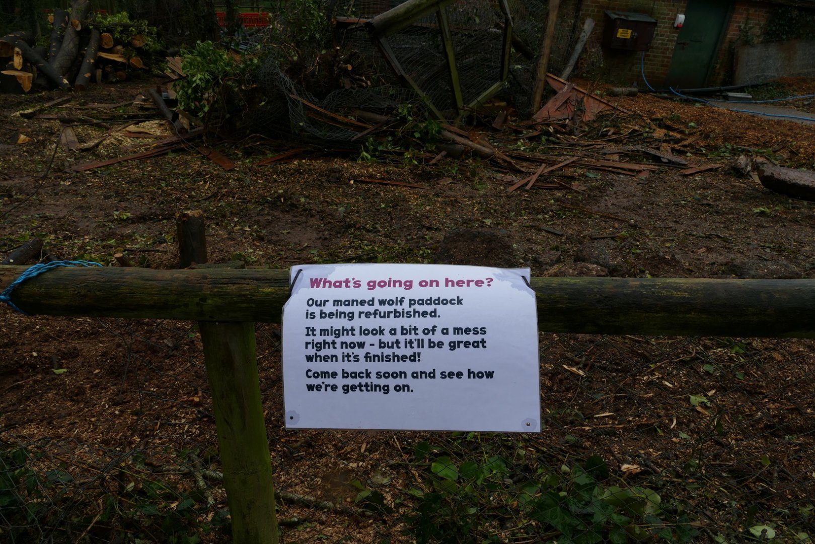 Maned wolf enclosure, February 2020