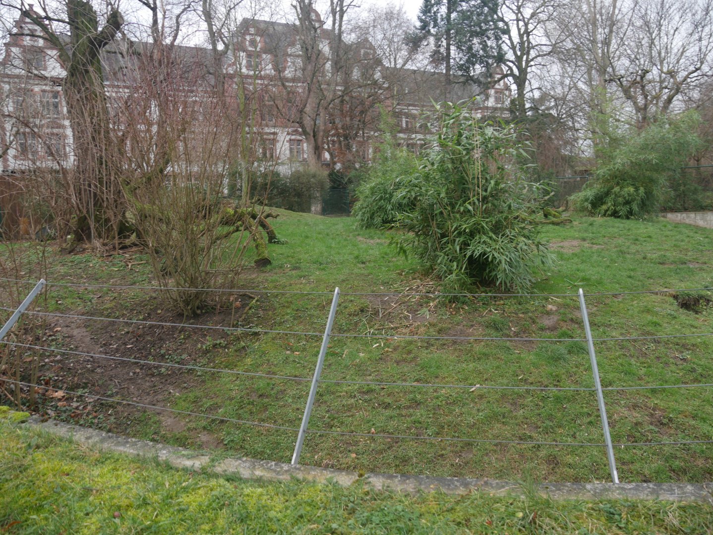 Maned wolf enclosure (January 2019)