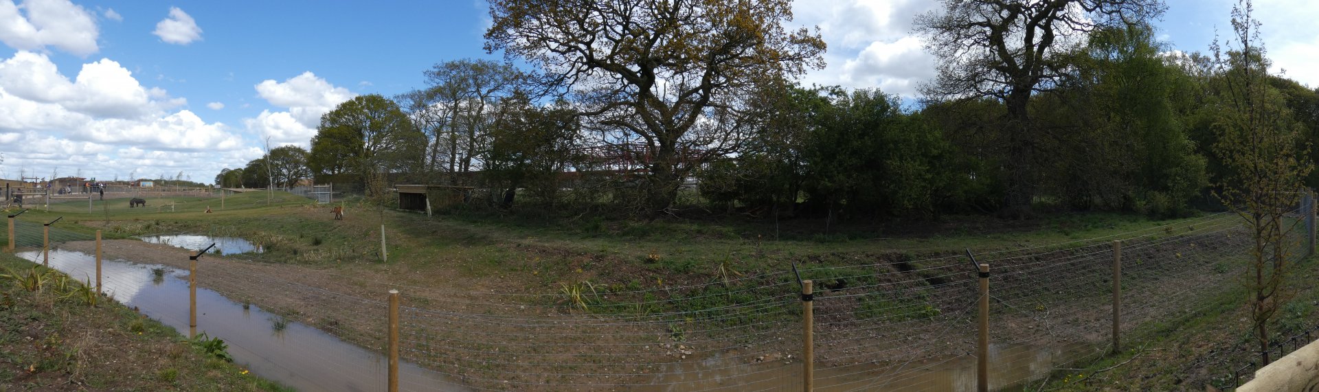 Maned wolf enclosure panorama