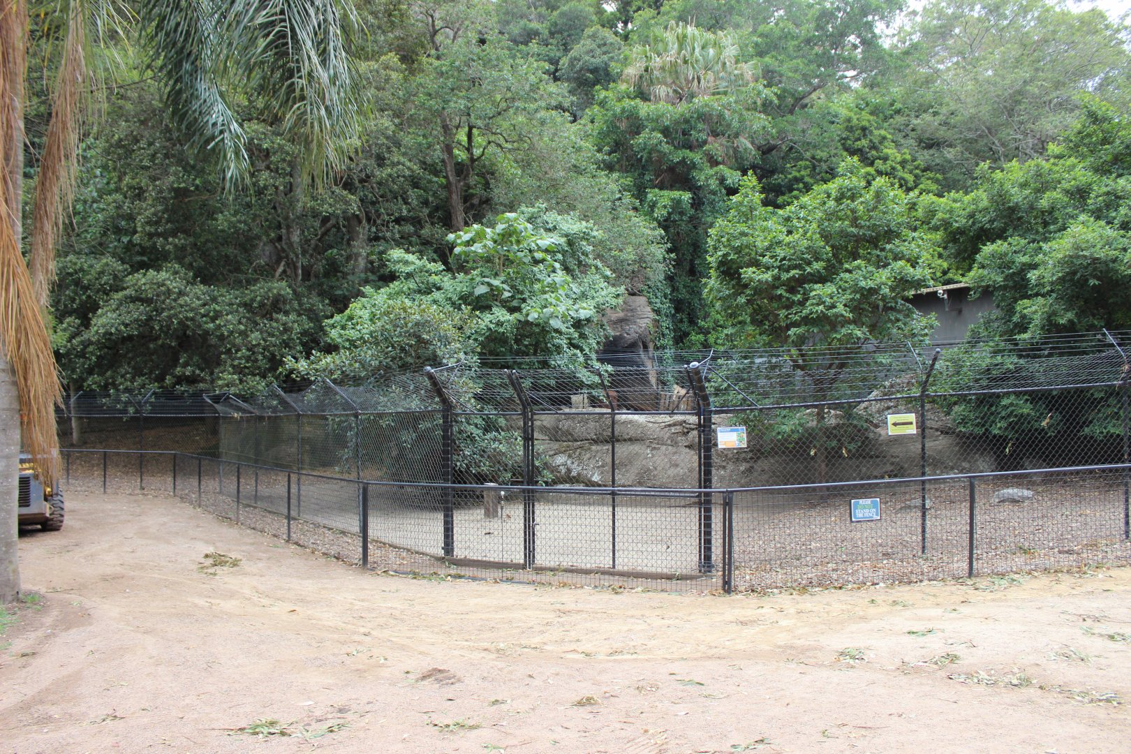 Maned Wolf Enclosure