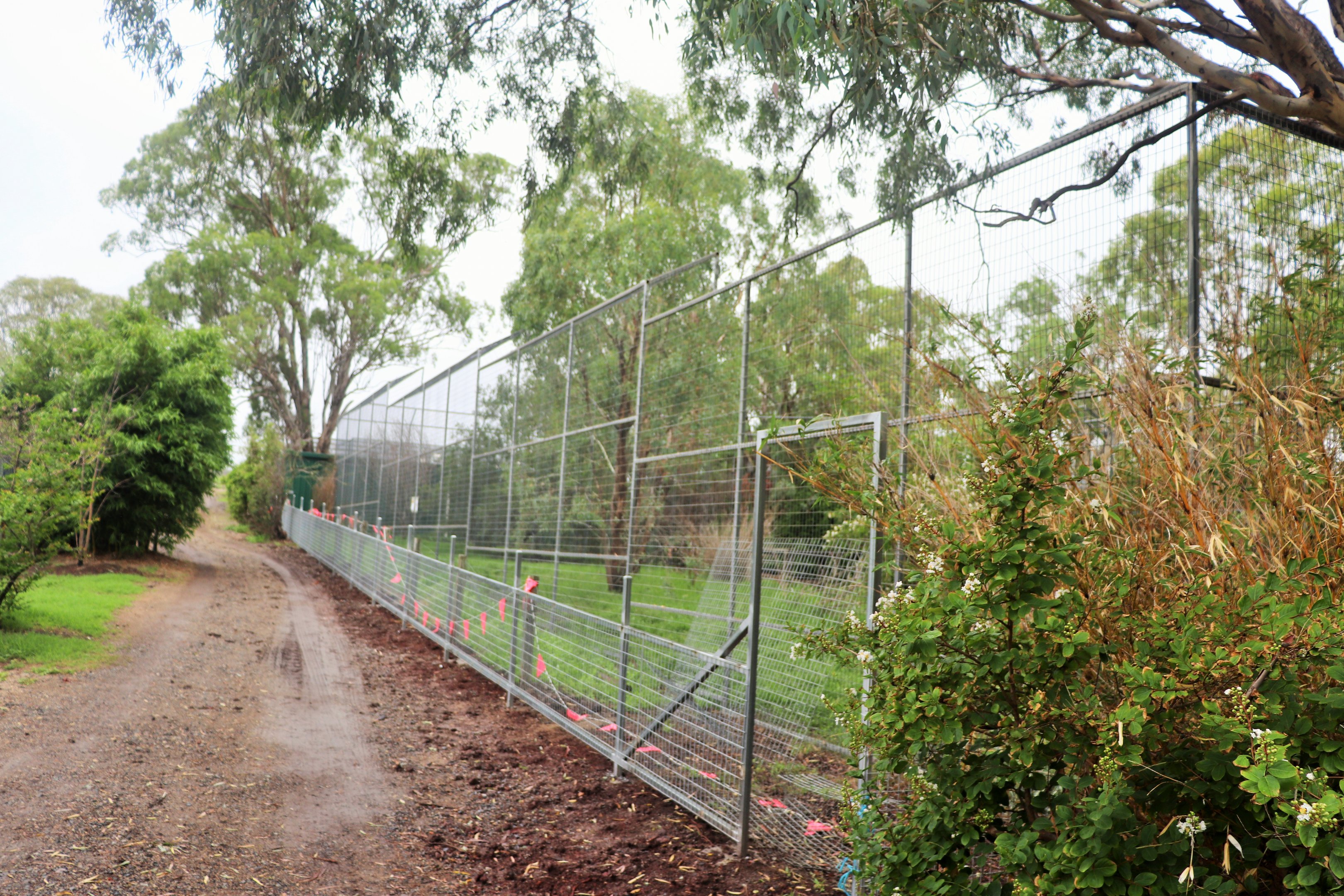 Maned Wolf Enclosure