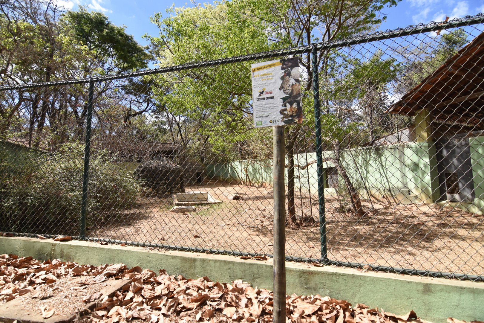 Maned wolf enclosure