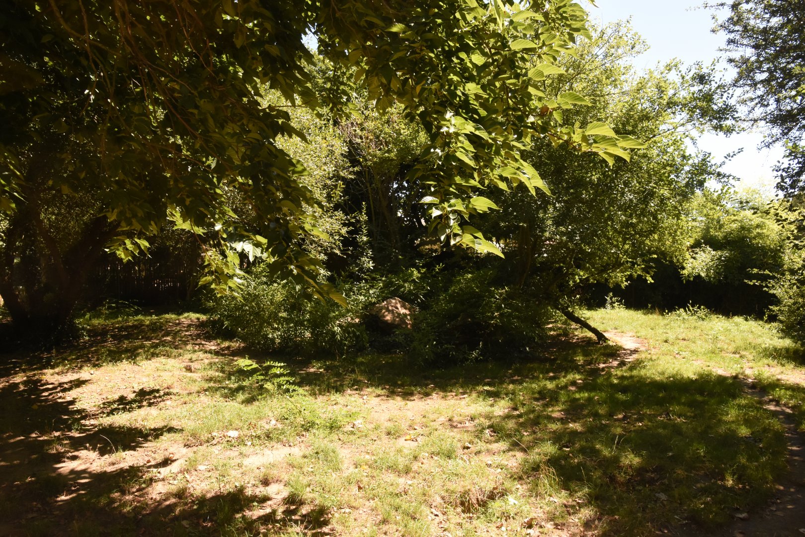 Maned Wolf enclosure