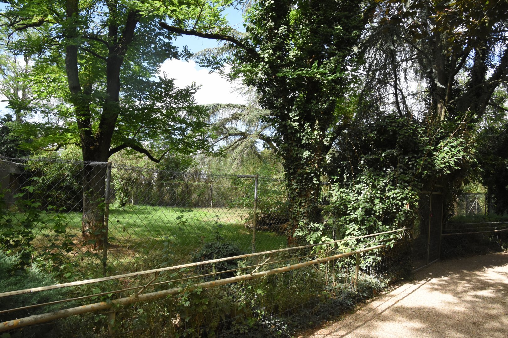 Maned Wolf enclosure