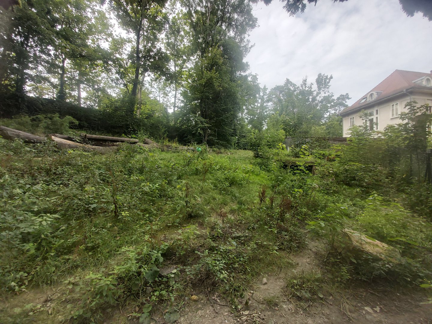 Maned wolf enclosure