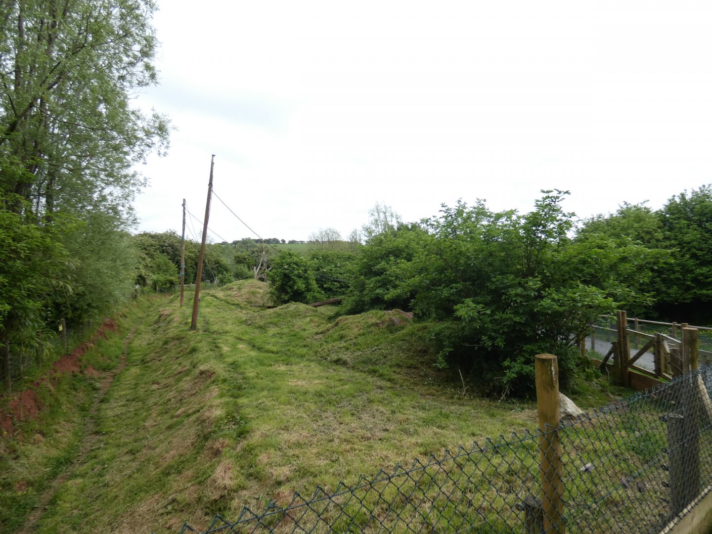 Maned wolf enclosure