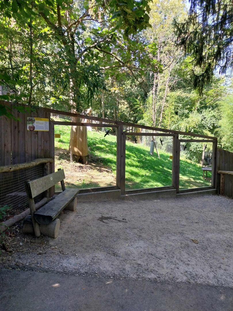 Maned wolf enclosure