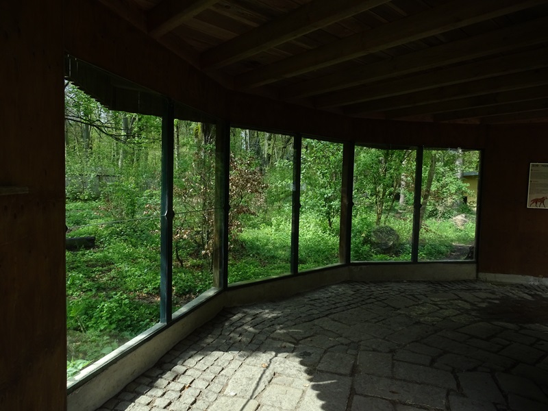 Maned wolf enclosure