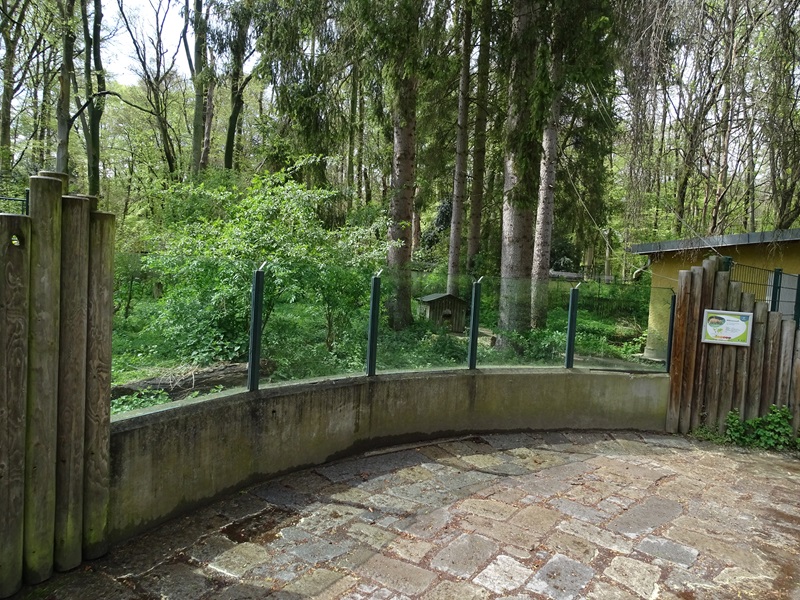 Maned wolf enclosure