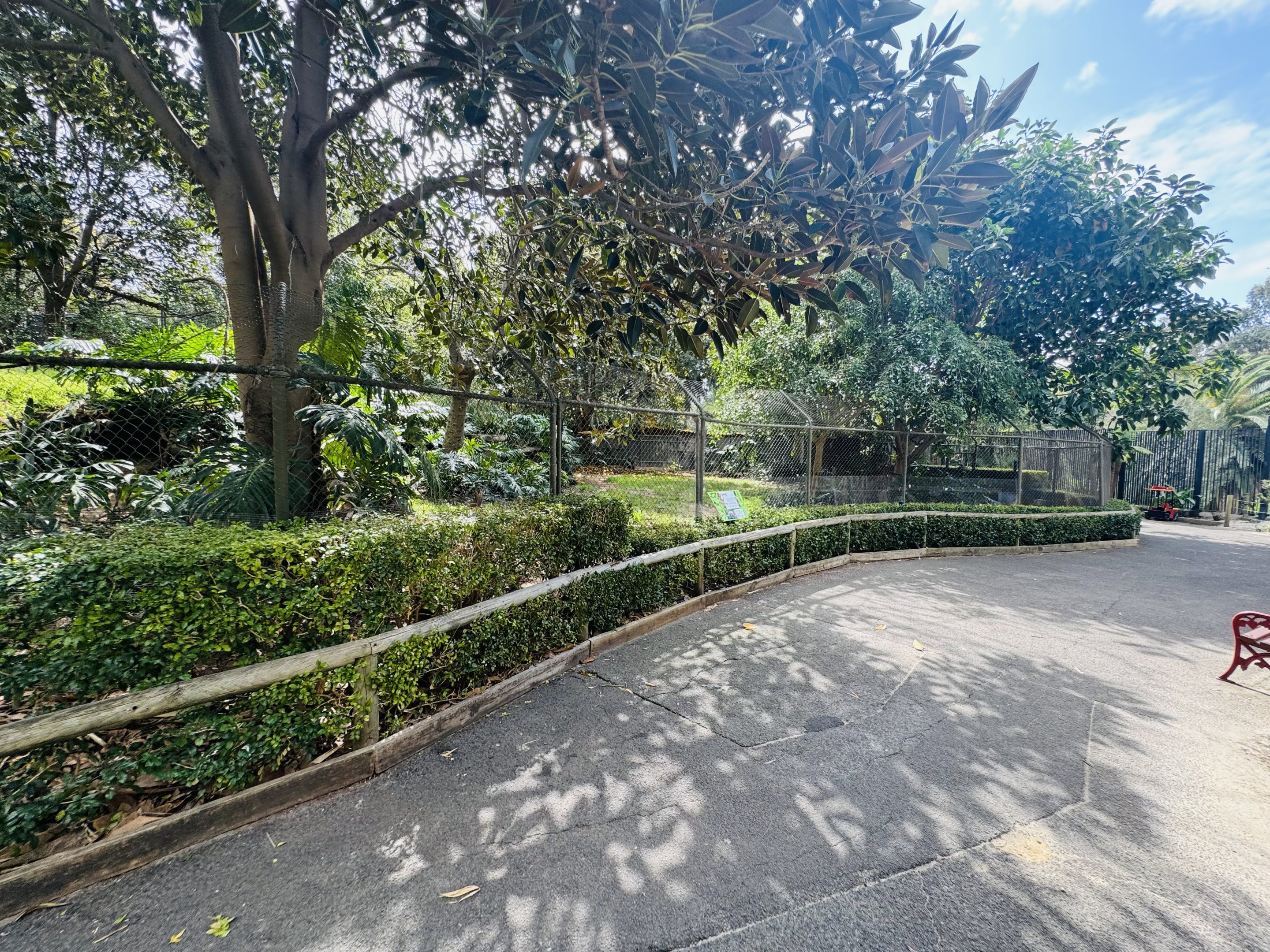 Maned wolf enclosure