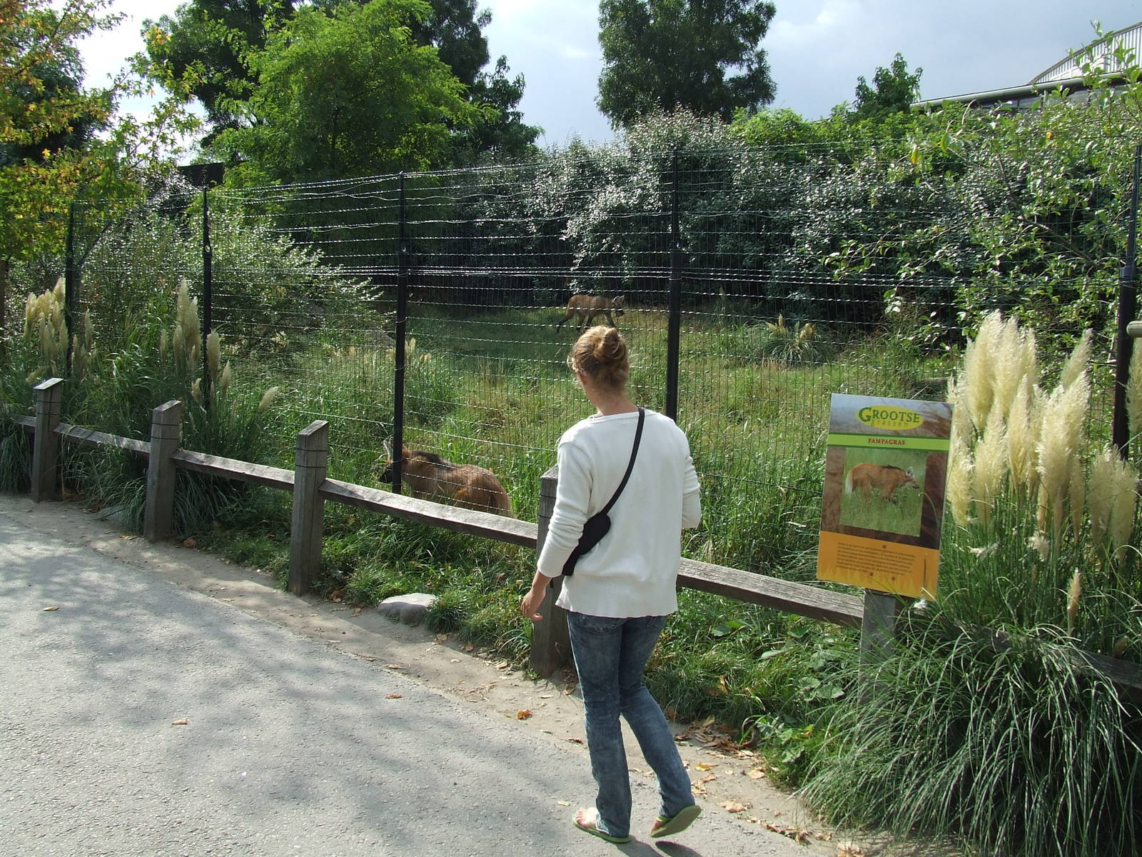 Maned Wolf enclosure