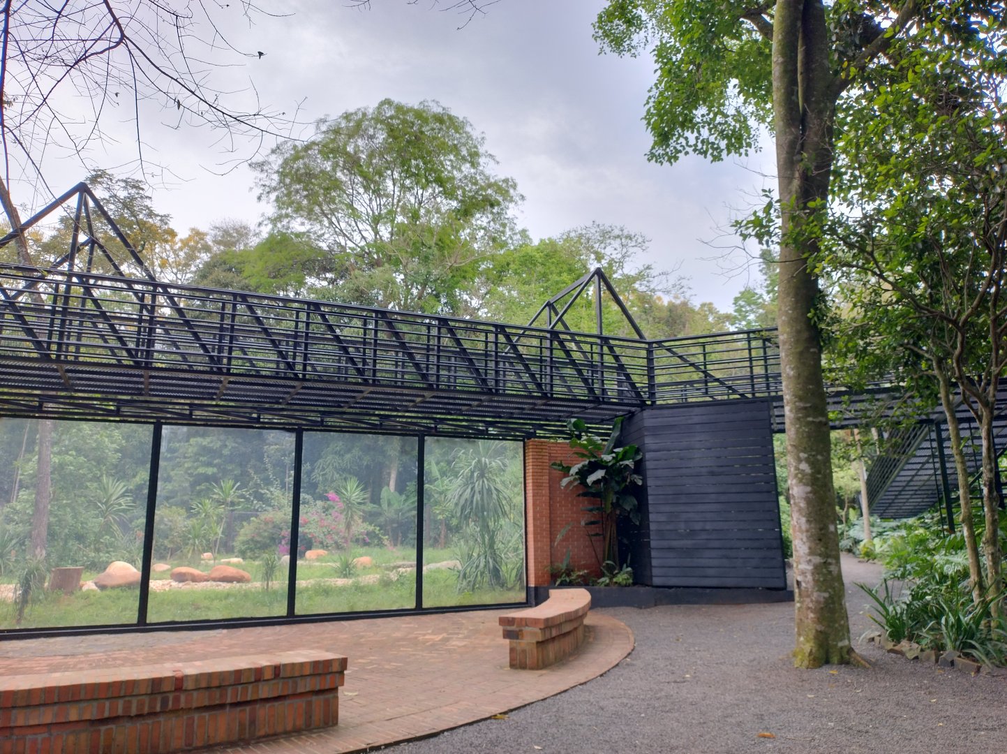 Maned wolf exhibit and pathway - RBBV (ZRRL)