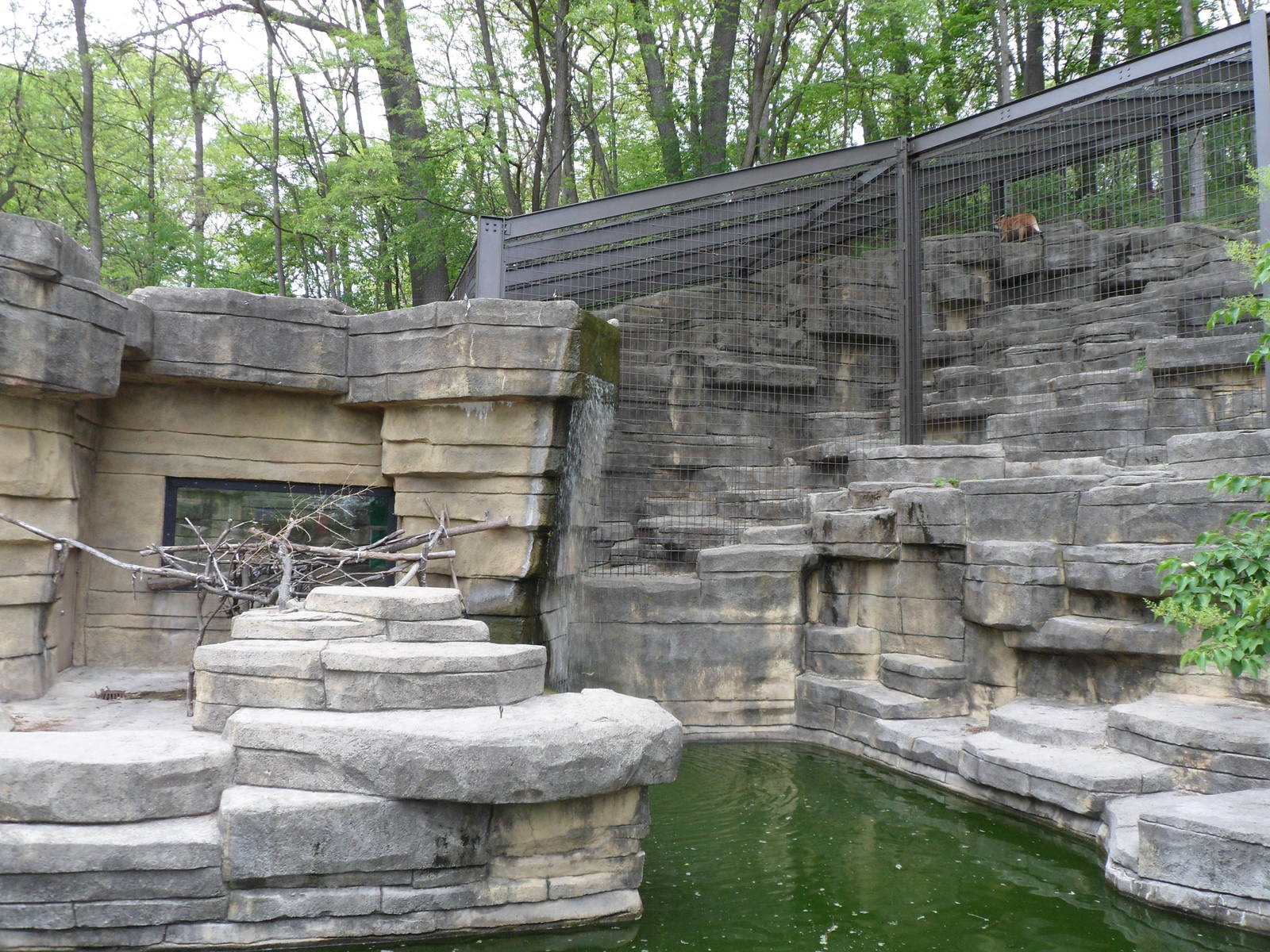 Maned Wolf Exhibit and Saki Monkey Island