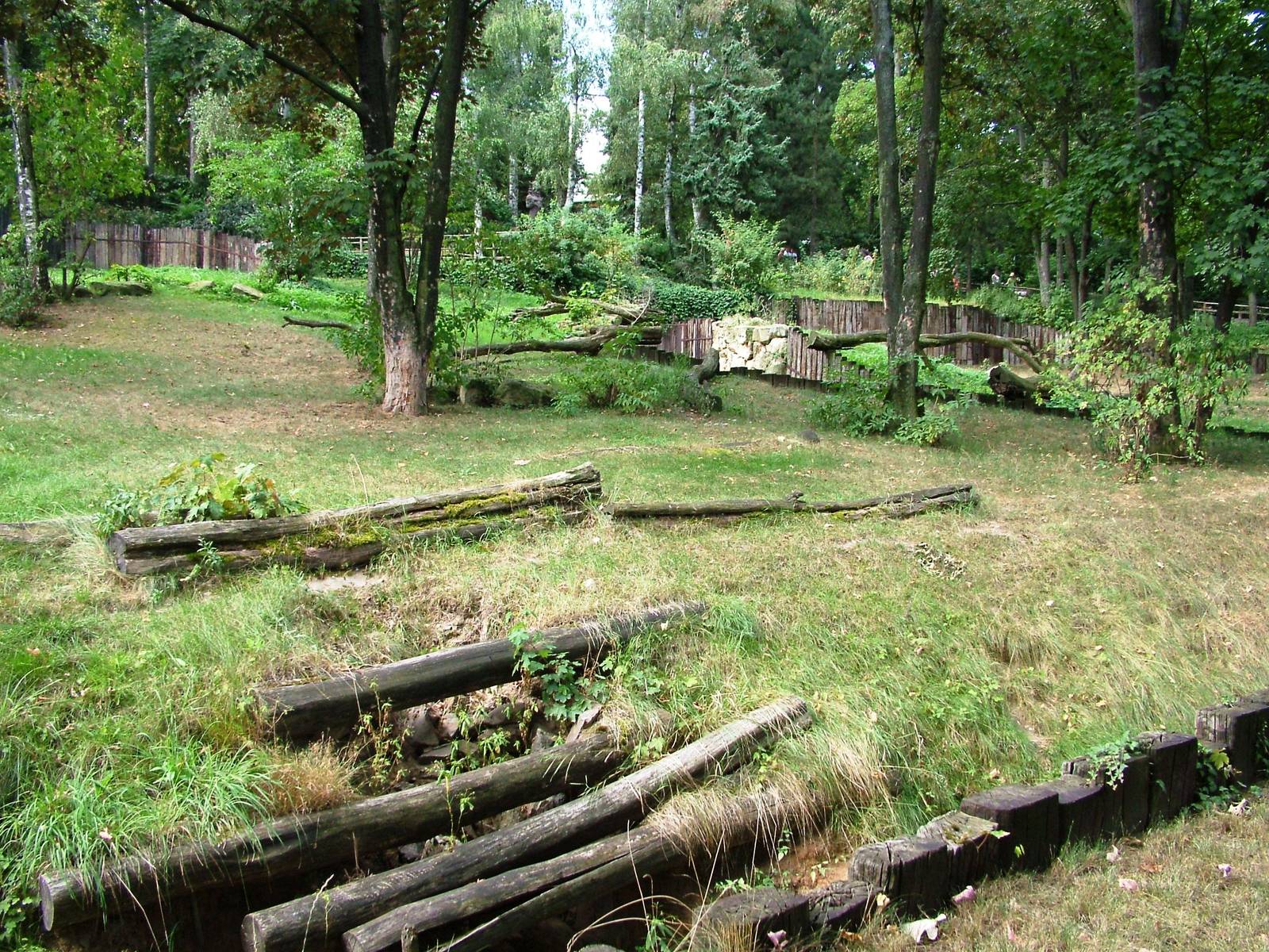 Maned Wolf Exhibit at Prague, 25/08/12