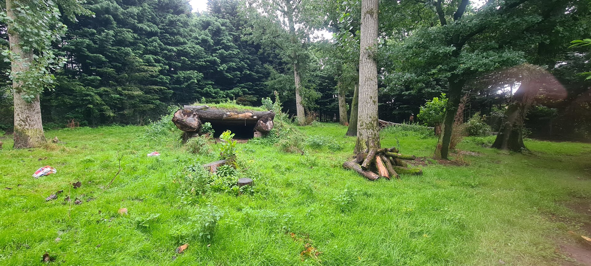 Maned Wolf Exhibit, Banham Zoo