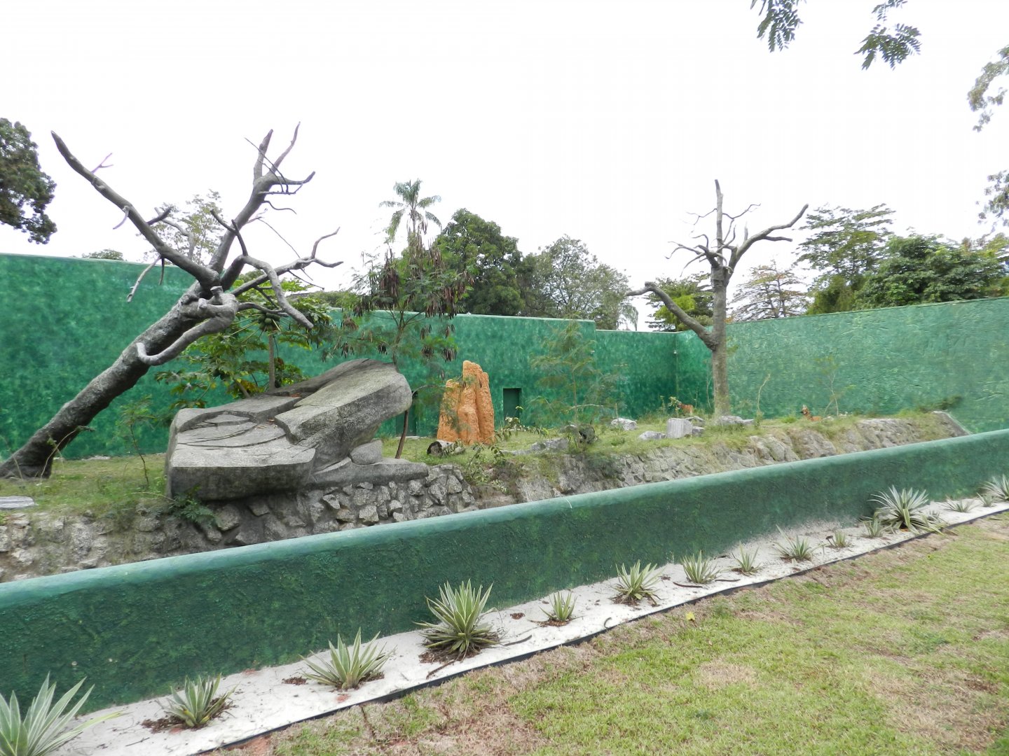 Maned wolf exhibit - BioParque do Rio