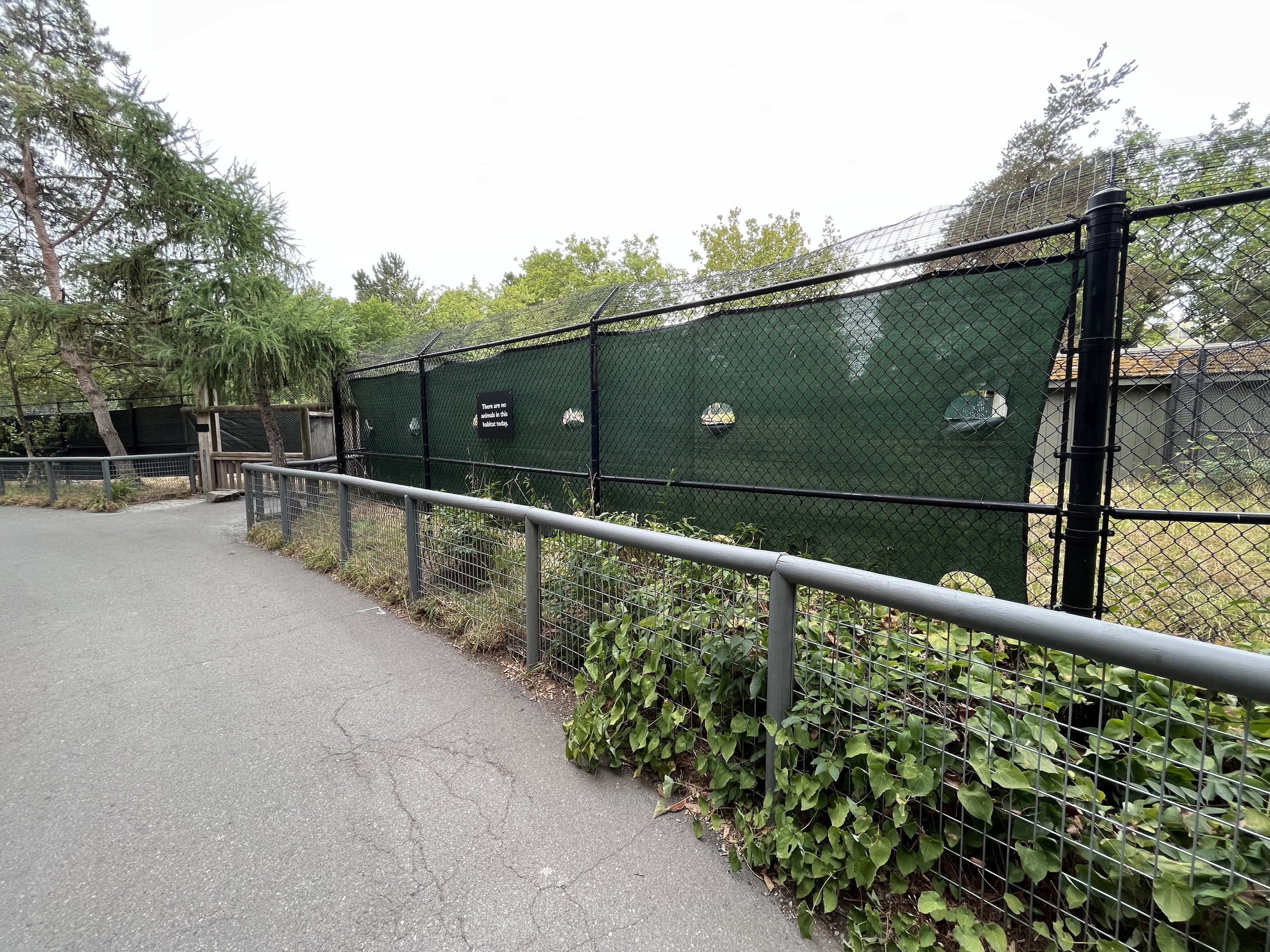 Maned Wolf Exhibit - empty