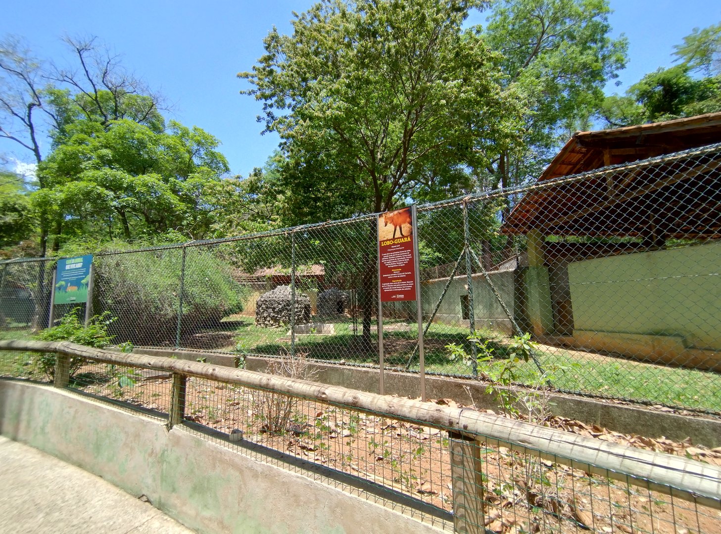 Maned wolf exhibit I  - Belo Horizonte zoo