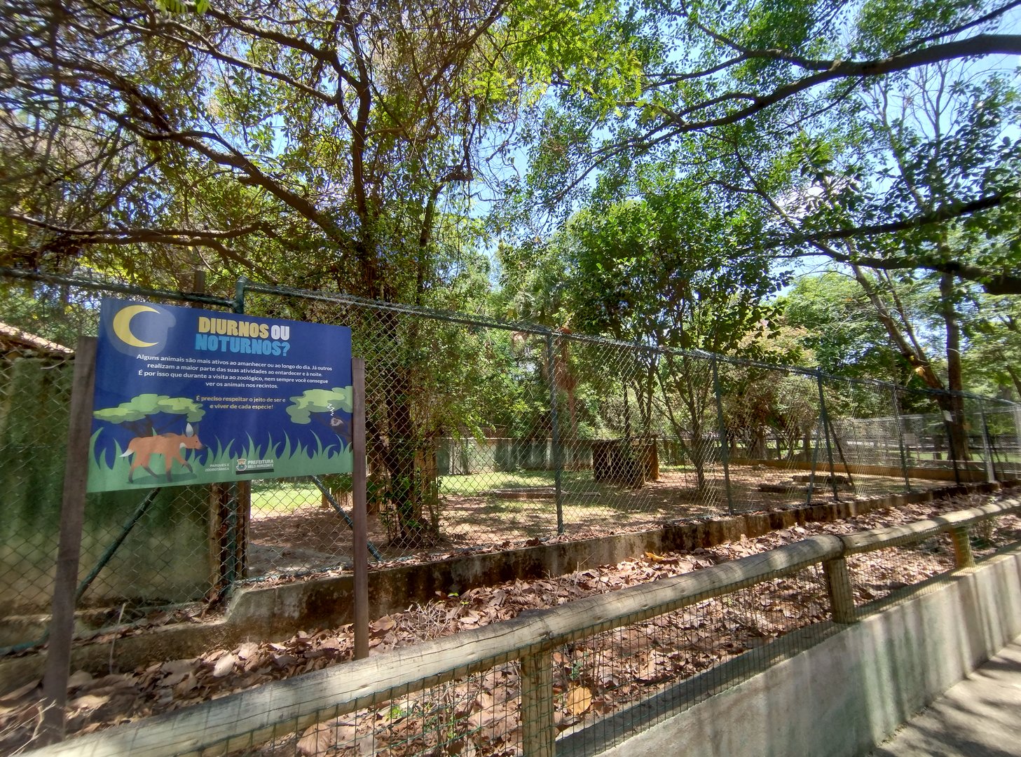 Maned wolf exhibit II  - Belo Horizonte zoo