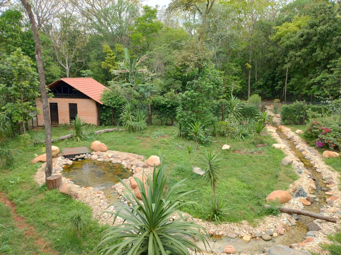 Maned wolf exhibit - RBBV (ZRRL)