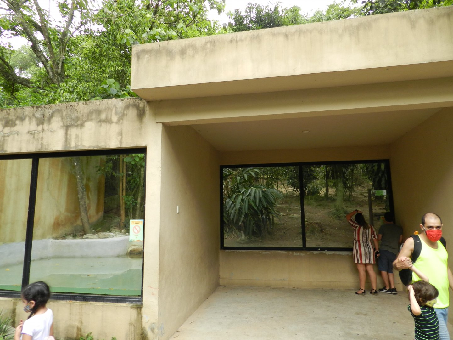 Maned wolf exhibit - Zoo São Paulo