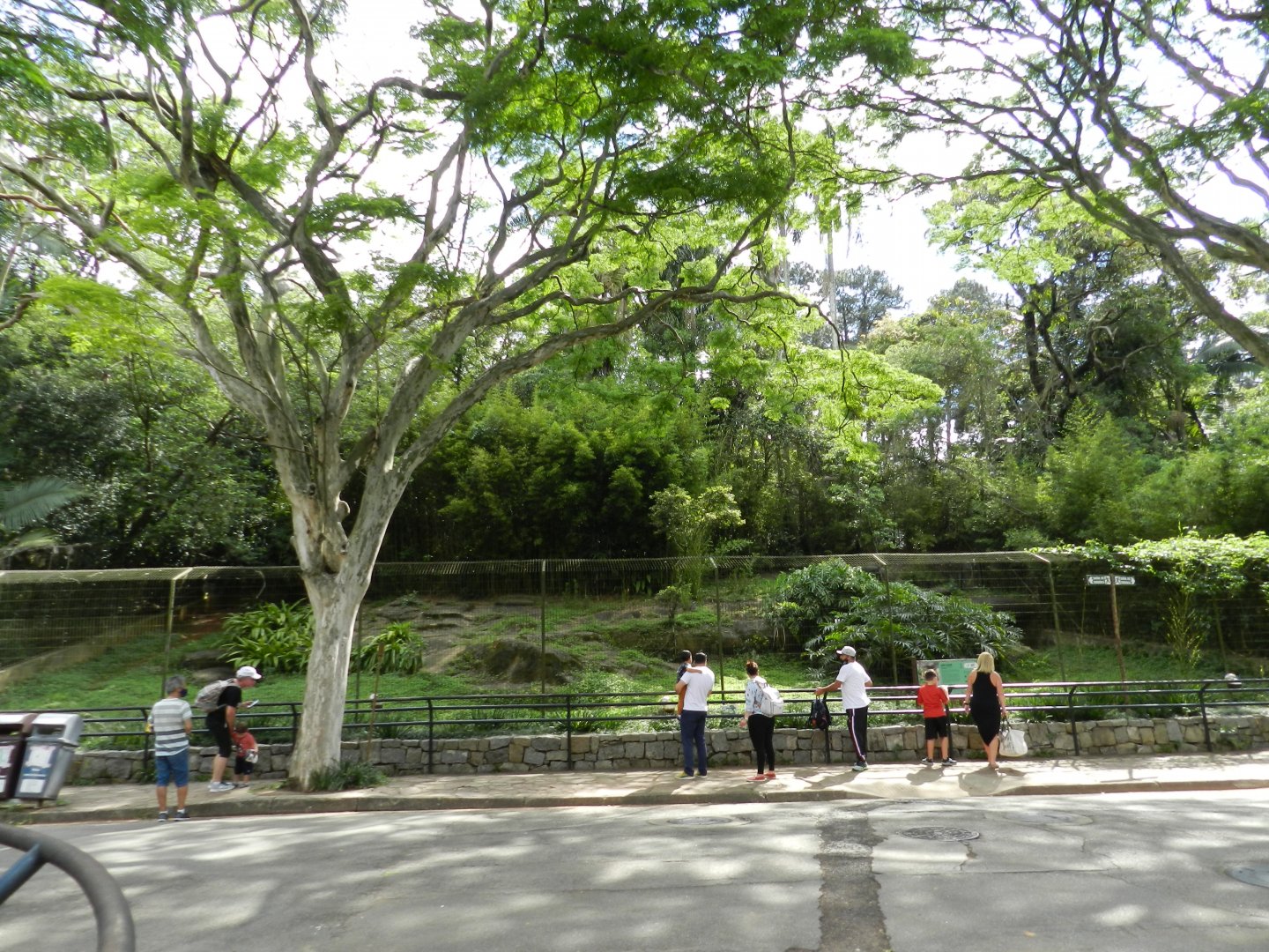 Maned wolf exhibit - Zoo São Paulo