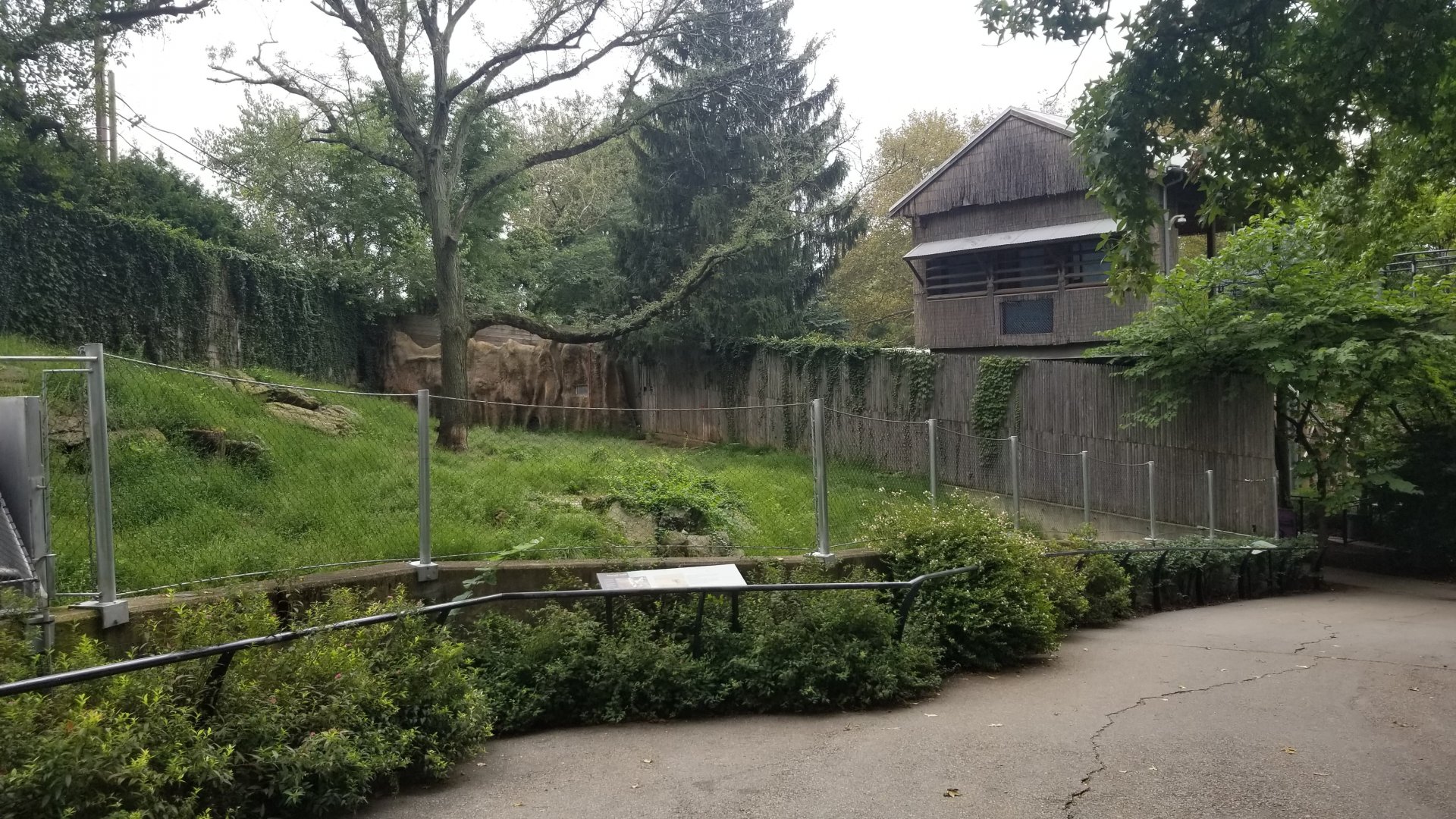 Maned Wolf exhibit